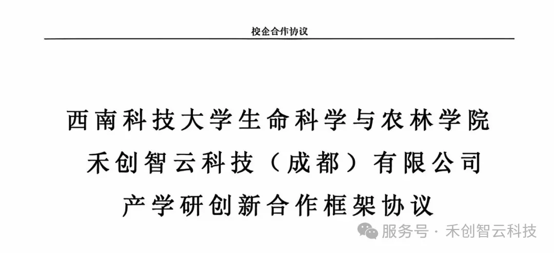 640 (2).webp
